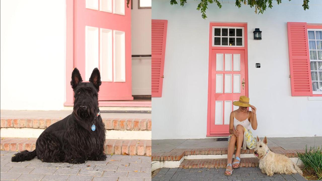 Drostdy Hotel Graaff-Reinet Dış mekan fotoğraf Scottie dogs