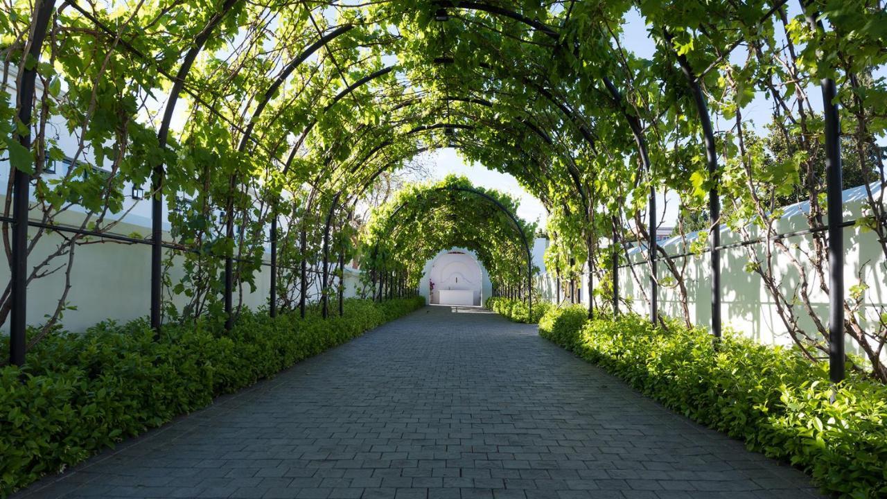Drostdy Hotel Graaff-Reinet Dış mekan fotoğraf The Pergola